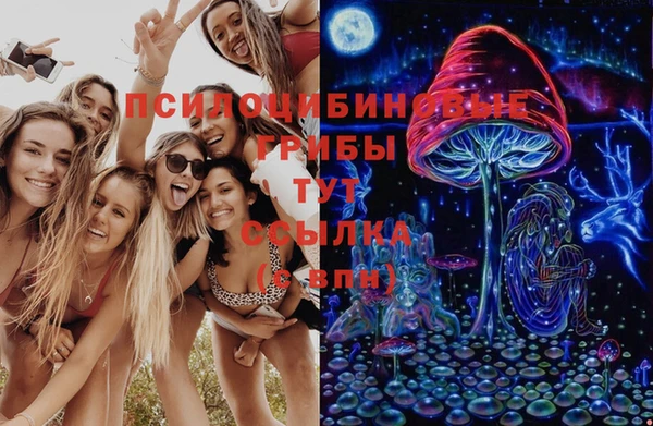 spice Алексин