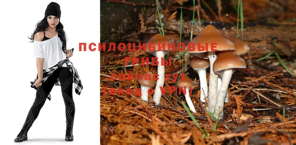 spice Алексин