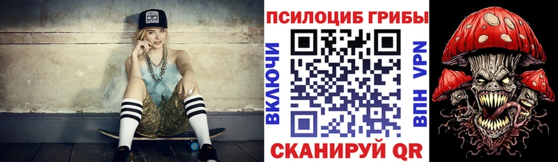 купить   Алексеевка  Галлюциногенные грибы прущие грибы 